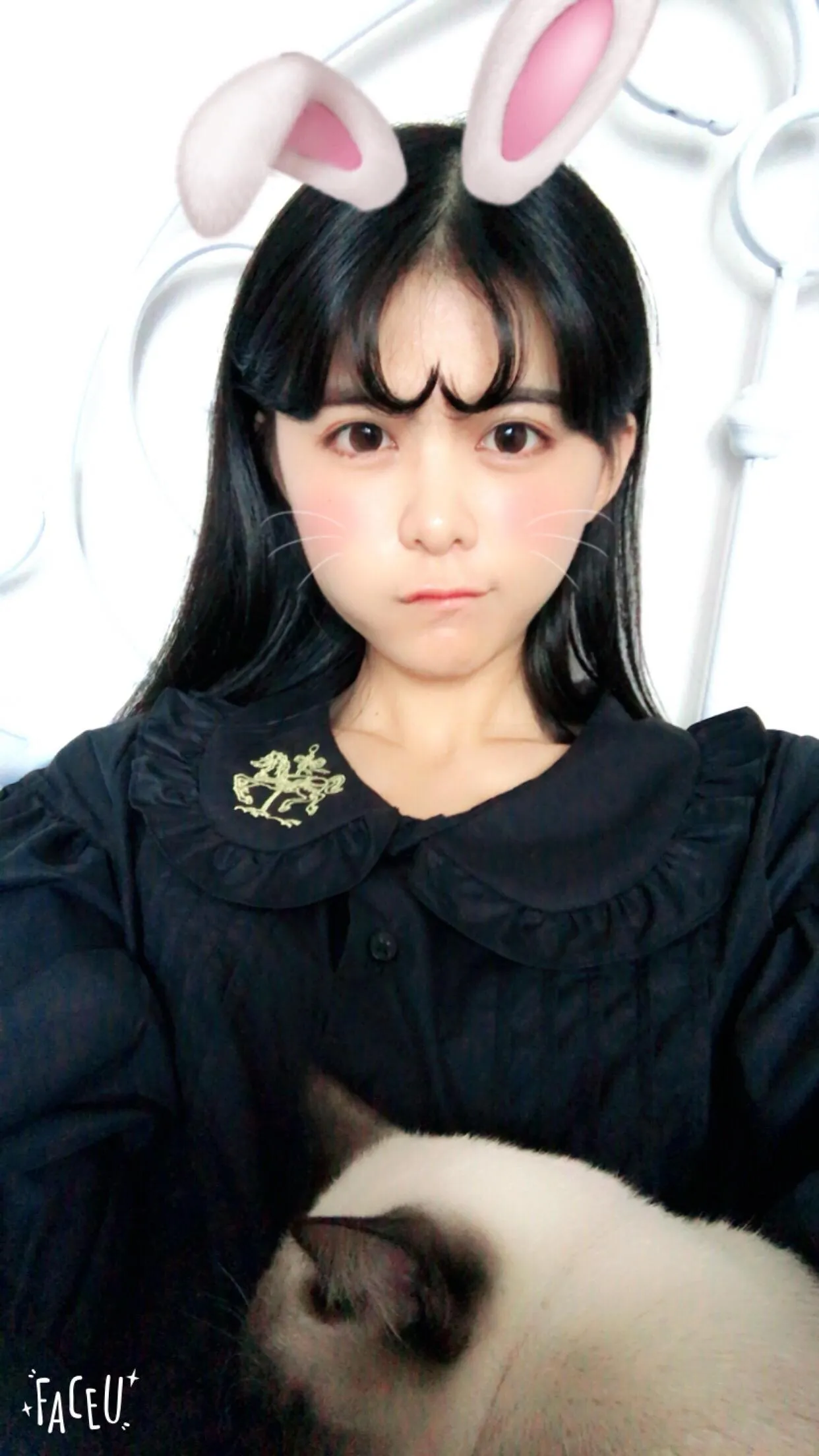 眼酱大魔王w – NO.008 各种杂图合集 [3.15GB]-Everphoto [581P]插图1